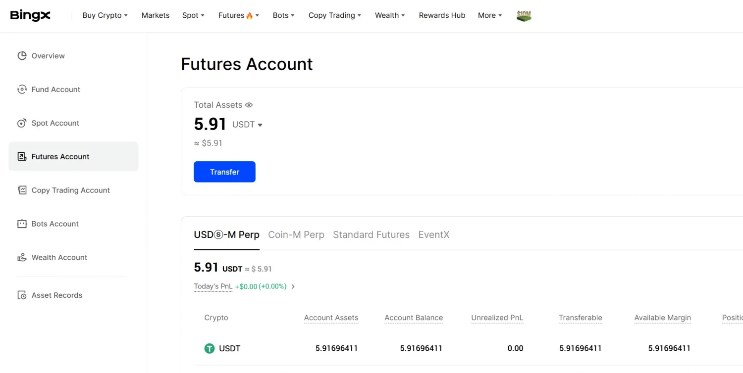 Result in the Futures Account